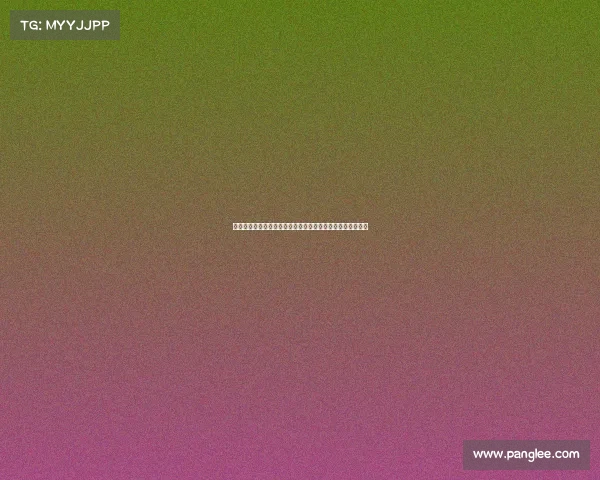 男篮美洲杯收官日阿根廷巴西争冠美国加拿大争季军精彩对决