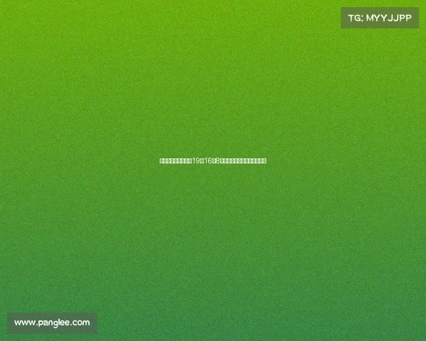 郇斯枫美高个人集锦19分16板8帽精彩表现助力球队逆袭取胜